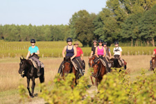 France-Dordogne-Landes and Perigord Combo Ride